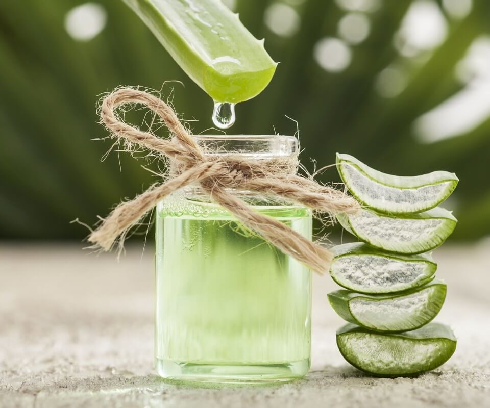 Aloe vera ecco come usarla per la barba